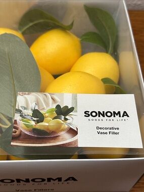 SONOMA Yellow Decorative Lemon Vase Fillers with Green Leaves